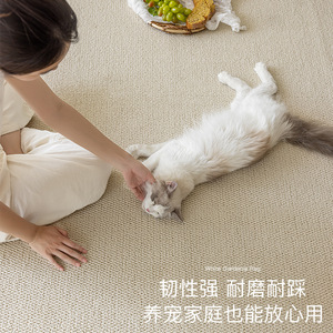 พรมปูพื้นลายสับปะรดสีพื้นสไตล์วบิซาบิ ยี่ห้อ Jinrui Home Textiles รูปทรงสี่เหลี่ยมผืนผ้า กันลื่น เหมาะสำหรับห้องนั่งเล่น ห้องนอน ห้องทำงาน - Product Image 2