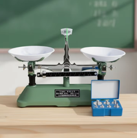 Balance mécanique pour la pesée des plateaux de palettes, de la qualité et de la densité, matériel pédagogique de physique