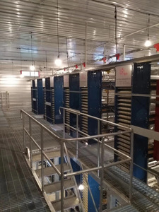 Nouvelles cages à poules pondeuses de haute qualité, type H, pour élevage intensif, avec perchoirs autonettoyants et système de collecte des déjections, pour usage agricole - Product Image 5
