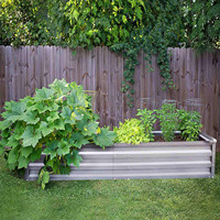 Planteur surélevé en métal pour légumes et fleurs, lit de jardinage polarisé, boîtier de jardinage surélevé en acier