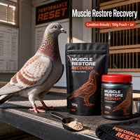 Électrolytes Premium pour Pigeons de Course : Réhydratation Rapide, Récupération Post-Compétition et Réparation Musculaire – Marque Privée, Source OEM, Laboratoire