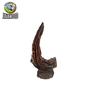 Sculpture en bois de Java Central de haute qualité, décoration en bois flottant, support en bois pour meubles de maison naturels - Product Image 5