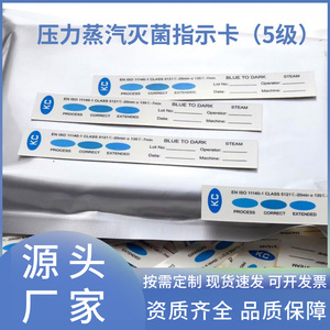 Carte indicatrice de pression de vapeur, stérilisation et désinfection par vapeur haute température et haute pression de niveau 5 - Product Image 5
