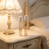 Flacon de parfum en verre vide 10 ml, ensemble d'emballage cosmétique, flacons cosmétiques élégants avec bille et capuchon, flacons de parfum en verre