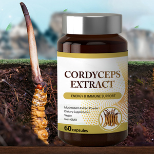 Capsules d'extrait de champignon AMULYN cordyceps sinensis Complément alimentaire capsule de cordyceps militaris gélules de cordyceps - Product Image 2