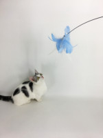 Jouet interactif pour chat à ventouses puissantes, avec fil long, pointe en roseau, plume et clochette, anti-morsure, pour stimuler l'activité des animaux de compagnie