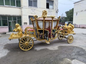 Châu âu thanh lịch công chúa giấc mơ bí ngô đám cưới xe điện nhà máy bán hàng trực tiếp đám cưới vận chuyển - Product Image 4