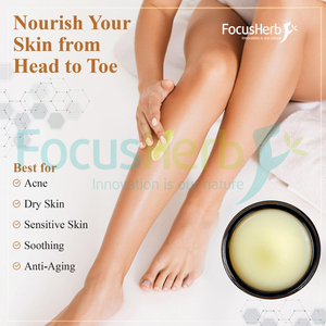 Crema de Sebo de Res Alimentada con Pasto FocusHerb - Certificación Kosher y Halal, Certificación EU/USDA, Grado Cosmético, Envase de 200g - Product Image 3