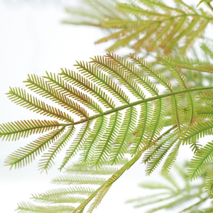 Feuille artificielle <span class=keywords><strong>en</strong></span> plastique de mimoza et de fougère à tige unique, couleur automne, pour aménagement paysager et arrangements au sol de mariage - Product Image 2