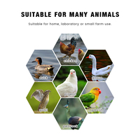 Incubateur d'œufs automatique GREAT FARM Mini, double alimentation, 176 œufs, poulet, canard, oie, pigeon, modes prédéfinis