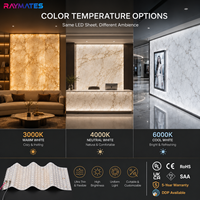 Feuille LED Flexible 242 LED/M 480x240mm Ultra Fine en Papier Blanc pour Panneau de Marbre Rétroéclairé Taille Personnalisée OEM Vente en Gros
