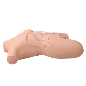DARHMMY PVC Model pengajaran medis, manekin Bedah jahitan dan pembebat untuk sains medis - Product Image 1