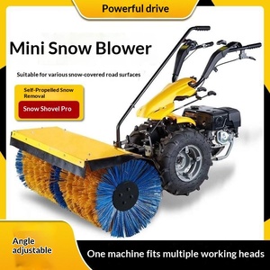 Pequeña barredora de nieve multifuncional con cepillo rodante y empuje manual para limpieza de caminos - Product Image 1