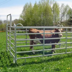 Direct Factory Metal Lives tock Fence Umwelt freundlich und nachhaltig Nagetier sicher und wasserdicht für Nutztiere wie Rinder
