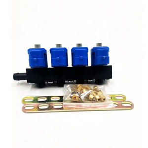 Enjeksiyon sistemi için CNG/LPG gaz 4cyl enjektör rayı fiyatı - Product Image 1