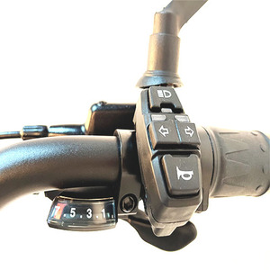 Bicicletta Elettrica Roadsan 24\" con Telaio in Lega di Alluminio, Pneumatici Fat, Batteria Integrata 48V 20AH, E-bike <span class=keywords><strong>Gravel</strong></span> con Motore Posteriore da 1000W - Product Image 5