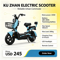 Scooter City Vélo électrique 250W Moteur sans balais électronique haute vitesse Cadre en acier Batterie au plomb Utilisation adulte 18 vitesses Double