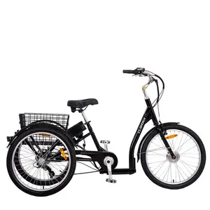 36V 250W 3 Wheels Bike Cargo Bicycle With Basket 24 Inch 7 Speeds Electric Tricycle