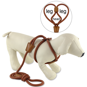 Arnés de cuero enrollado para perros, Correa colorida de lujo para cachorros pequeños, correa de plomo para caminar - Product Image 6
