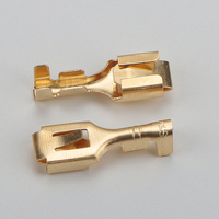 Boerda – Bornes de câblage automobile à sertir en laiton étamé, connecteurs de câble carrés de 6,3 mm², 230 V, modèle DJ621-B6.3