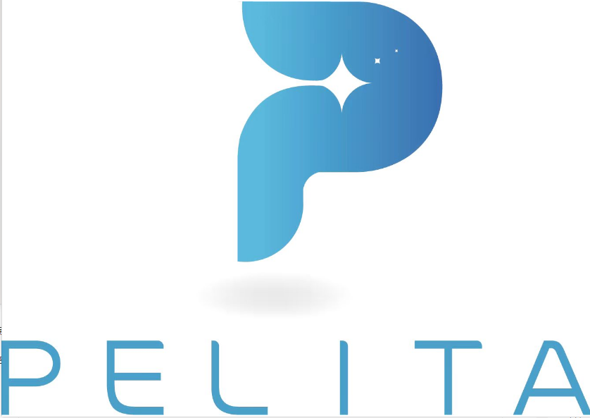 Shanghai Pelita Import And Export Co., Ltd. logo