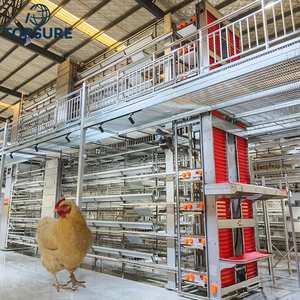 İhracat Kalitesinde İhracata Hazır Büyük Ölçekli Kümes Hayvanı Kafesi Tavuk Taşıma Kafesi Kümes Hayvanı Yumurtlama Kafesi Ekipmanı - Product Image 1