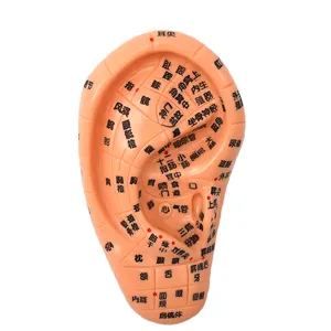 13CM Profesyonel Tıbbi Akupunktur Silikon Kulak Masajı Modeli Akupunktur Noktası Etiket ve Aracı Kulak Kauçuk Kulak Modeli
