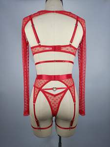 Conjunto de Lencería Sexy con Corazón para el Día de San Valentín, Conjunto de Brasier y Bragas de Encaje con Corazón para Mujer, Ropa Interior Erótica Transparente de Malla con <span class=keywords><strong>Mangas</strong></span> Largas - Product Image 6