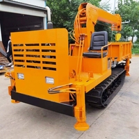 Grue sur chenilles à déchargement automatique de 3 tonnes, homologuée CE, conception personnalisée pour le levage de grumes forestières sur terrain accidenté