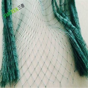 <span class=keywords><strong>Red</strong></span> de polietileno verde <span class=keywords><strong>para</strong></span> pájaros, cortinas de balcón <span class=keywords><strong>para</strong></span> exteriores, <span class=keywords><strong>red</strong></span> <span class=keywords><strong>para</strong></span> atrapar pájaros, vela de windsurf, agricultura, agricultura, <span class=keywords><strong>Red</strong></span> de aves - Product Image 2