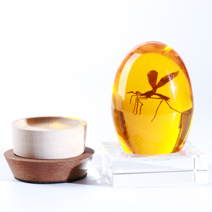 Özelleştirilmiş zanaat temizle kağıt ağırlığı reçine Paperweights gömülü 3D sivrisinek <span class=keywords><strong>Paperweight</strong></span> kurutulmuş çiçek reçine <span class=keywords><strong>Paperweight</strong></span> - Product Image 1