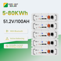 Batería de Bajo Voltaje de 5 kWh 100 Ah 51,2 V, Sistema de Almacenamiento de Energía Doméstico, Batería de Litio Apilable de 15 kWh para Aplicaciones Solares