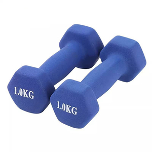 Mancuernas de goma con forma hexagonal de alta calidad, equipo de gimnasio, mancuernas de vinilo de PVC para mujeres para entrenamiento de fuerza - Product Image 1