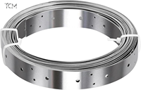 Bande de fer perforée de 29 mm x 0,8 mm pour le support de tuyaux et les ossatures