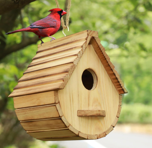 Natuurlijk houten vogelhuisje voor buiten, blauwe vogel, vink, kardinaal, hangend vogelhuisje voor tuinobservatie - Product Image 1