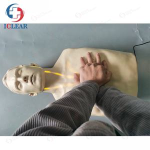 Sistema de circulación sanguínea visualizado, primeros auxilios, modelo de entrenamiento RCP - Product Image 2