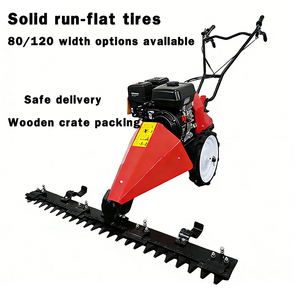 Tondeuse autoportée municipale 212cc essence, largeur de coupe 120cm, hauteur réglable de 1 à 8cm pour terrains de <span class=keywords><strong>sport</strong></span> et parcs - Product Image 2