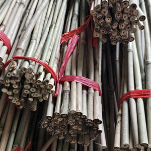 Piquets de jardin en bambou de haute qualité pour le soutien des plantes, piquets en bambou séché de petit diamètre pour l'agriculture et la pépinière - Product Image 1