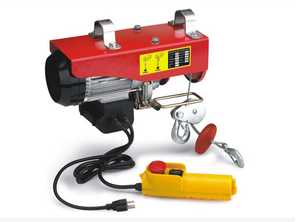 Le <span class=keywords><strong>mini</strong></span> palan léger multifonctionnel largement utilisé de levage de poids 220v - Product Image 2