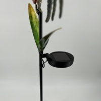 Lampe solaire étanche en métal en forme de coq avec globe en verre craquelé, LED, pour jardin, cour, allée extérieure
