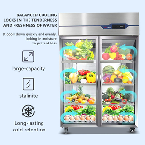 Réfrigérateur Vitrine <span class=keywords><strong>2</strong></span> Portes, Équipement de Réfrigération, Réfrigérateur à Deux <span class=keywords><strong>Battants</strong></span>, Réfrigérateur Double Porte pour Magasin - Product Image 3