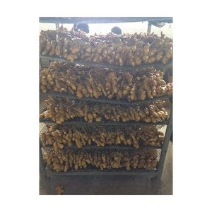 Jengibre Fresco Orgánico Barato al por Mayor, Vegetales Chinos de Exportación, Jengibre Fresco en Caja de PVC de 3 kg, Jengibre de Shandong en Venta - Product Image 5