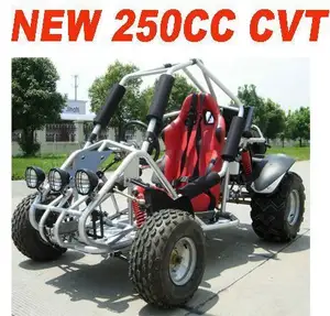 250CC OFF ROAD BUGGY(MC-462)