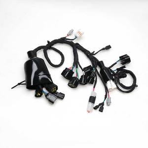 Ban đầu xe đạp điện Sur ron phụ tùng ánh sáng ong Phụ kiện chuyên ngành lắp ráp Cáp chính - Product Image 1