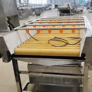 Laveuse à rouleaux à <span class=keywords><strong>brosse</strong></span> en acier inoxydable TEKFOOD 200 kg 300 kg 500 kg 1000 kg pour restaurant, machine à laver les légumes - Product Image 3