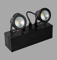 Lumière d'urgence LED rechargeable à deux spots, en plastique, à montage mural, IP65, noire