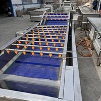 Productielijn voor snelgevroren frieten op maat, capaciteit 100-3000 kg/uur, volautomatisch, prijs