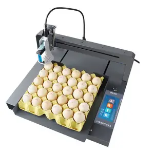 Envasado de alimentos y huevos Impresora de inyección de tinta industrial Marcado Impresora de inyección de tinta Máquina de codificación para huevo
