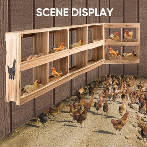 Caja nido <span class=keywords><strong>de</strong></span> pollo <span class=keywords><strong>de</strong></span> <span class=keywords><strong>madera</strong></span> montada en la pared para poner huevos <span class=keywords><strong>de</strong></span> 4 compartimentos <span class=keywords><strong>de</strong></span> alta resistencia para <span class=keywords><strong>Gallinero</strong></span> - Product Image 6