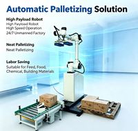 Robot Colaborativo de Baja Vibración para Paletización, Ideal para Líneas de Ensamblaje de Empaquetado de Sacos de Granos
